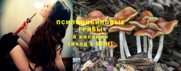 бошки Алзамай