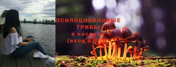 бошки Алзамай