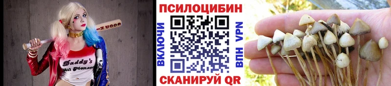 Галлюциногенные грибы мухоморы  Ревда 
